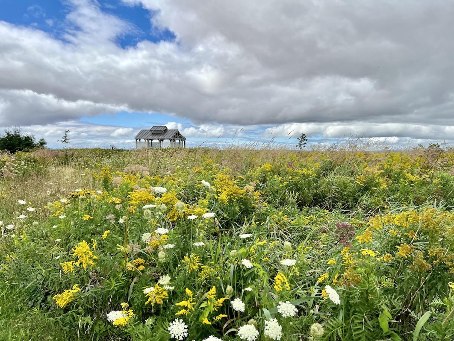 A picnic shelter along a flower-filled path is the highlight of Beaubassin and Fort Lawrence National Historic Sites.