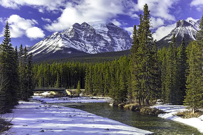 Morning View At The Bow River, Banff National Park / Rebecca Latson