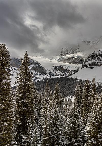A Snowy, Stormy Day At Crowfoot Glacier, Banff National Park / Rebecca Latson