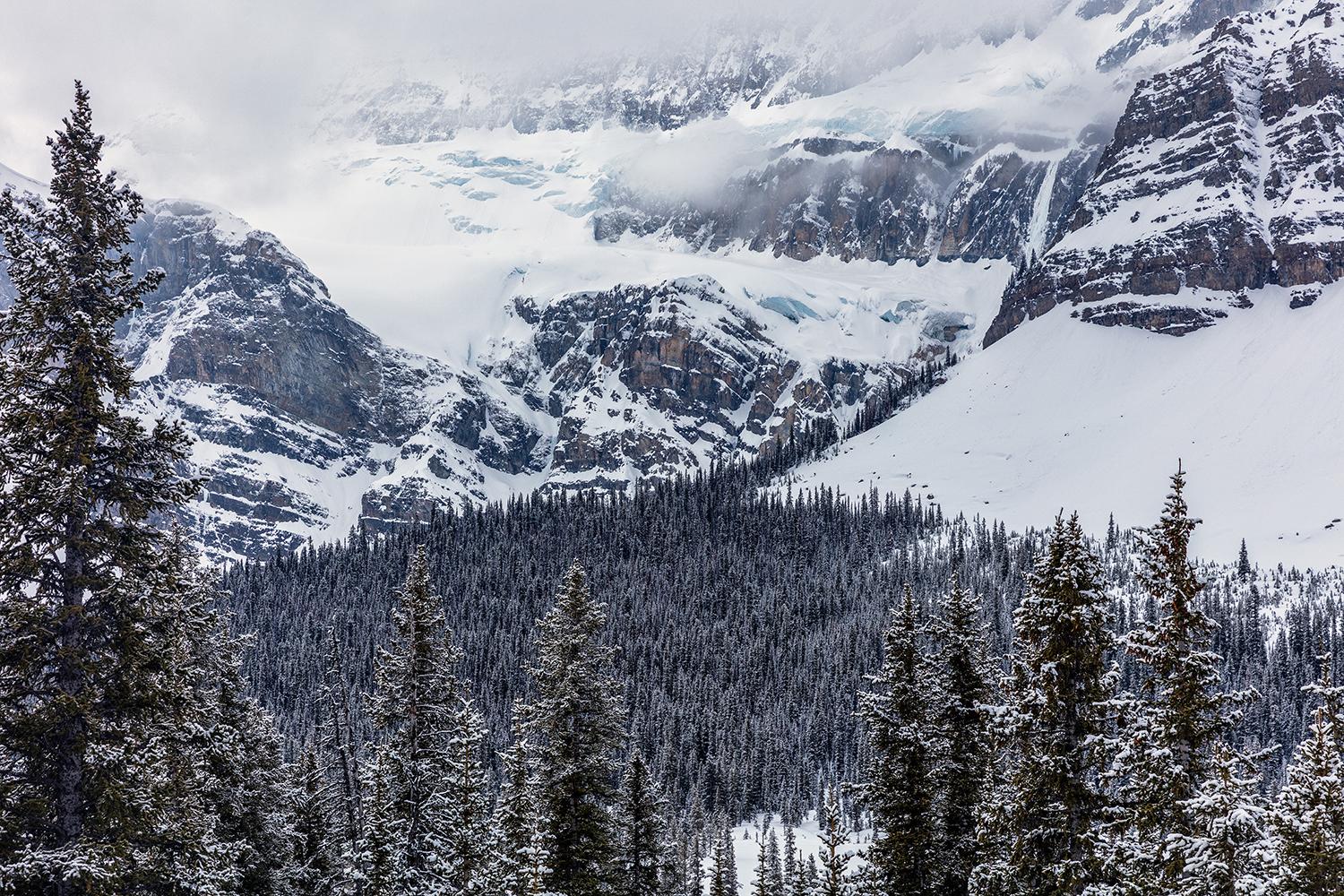 Crowgoot Glacier on a snowy spring day, Banff National Park / Rebecca Latson