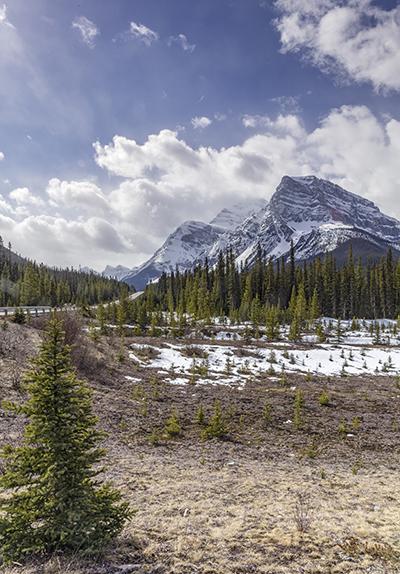 Icefield Parkway Scenery, Banff National Park / Rebecca Latson