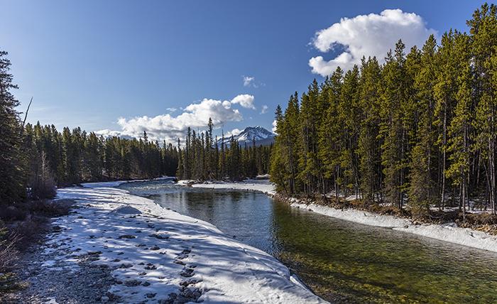 Bow River Vista, Banff National Park / Rebecca Latson