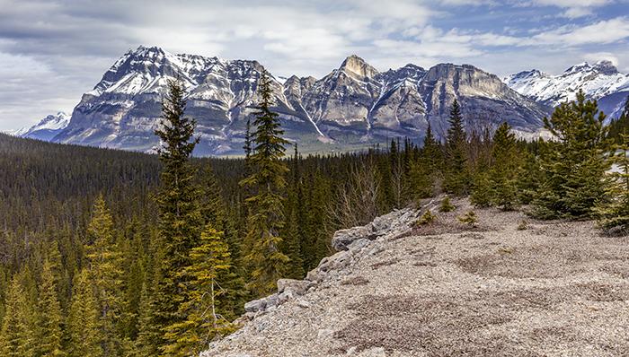 Mountain Vista Along The Icefield Parkway, Banff National Park / Rebecca Latson