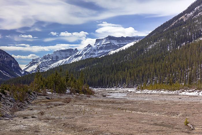 The View Downriver, Banff National Park / Rebecca Latson