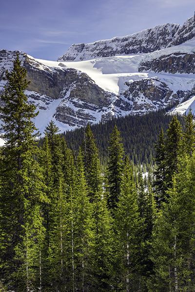 Crowfoot Glacier On A Sunny Day, Banff National Park / Rebecca Latson