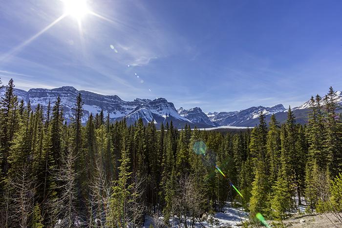 Same Location, Different Day - Spring Vista Along The Icefield Parkway, Banff National Park / Rebecca Latson