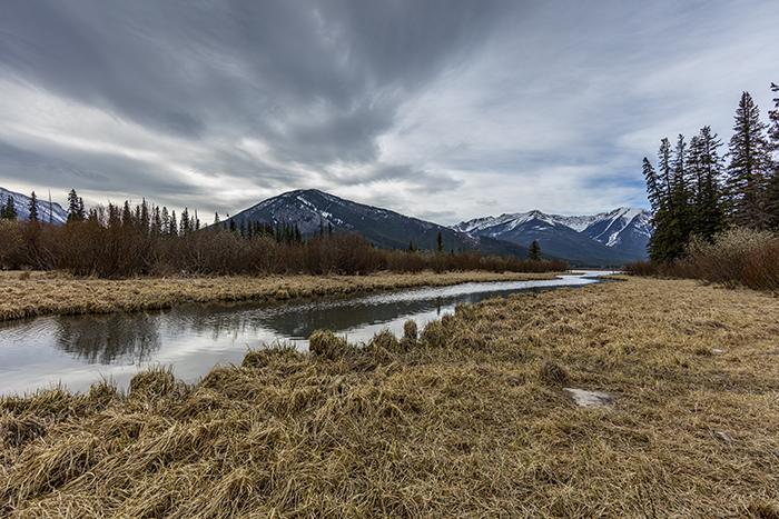 Wetlands View At Vermillion Lakes, Banff National Park / Rebecca Latson