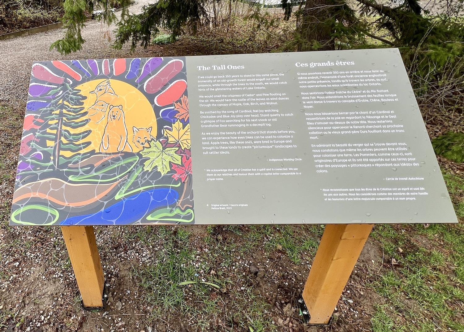 Tall Ones, by artist Melissa Brant, illustrates an interpretive sign about what the land was like here before it colonization.