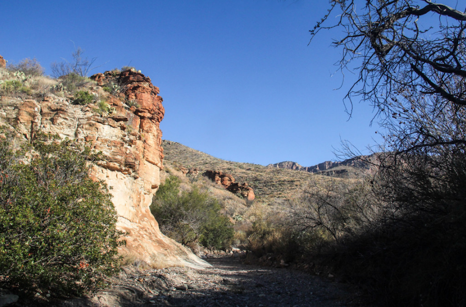 This shot makes Blue Creek Canyon look deceptively wide. There really aren't any flat places to camp except on the edge of the wash, which doubles as the trail/Bob Pahre