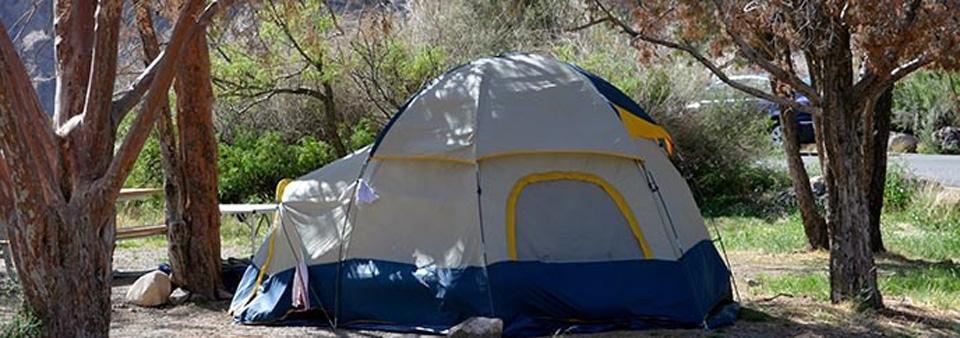 Campground reservations and higher nightly fees could be coming to Big Bend National Park/NPS