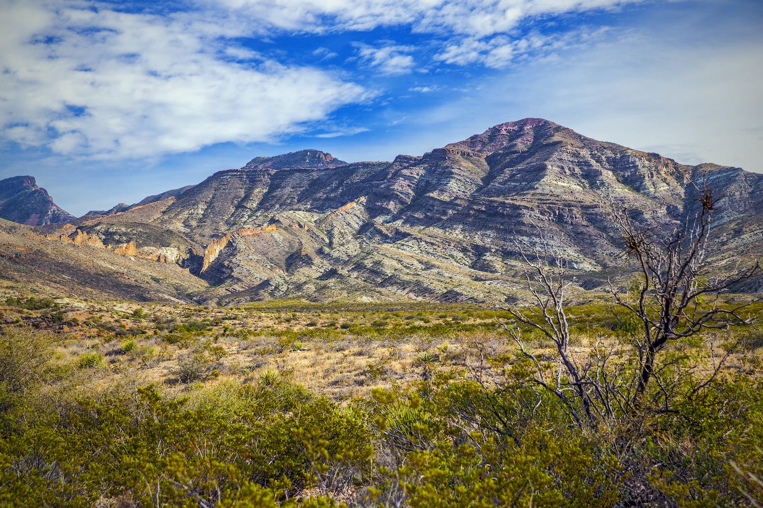 Signs that volcanics were part of the park's geologic history can be seen in parts of the WSAs/Rebecca Latson