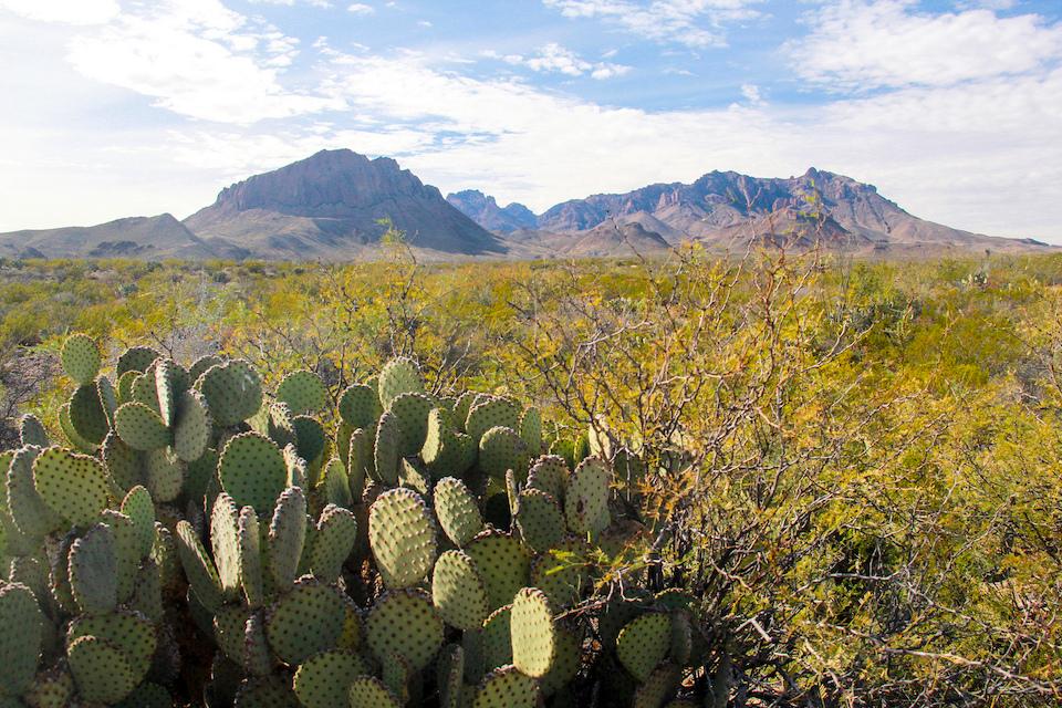 Chisos Mountains at Big Bend National Park/Robert Pahre