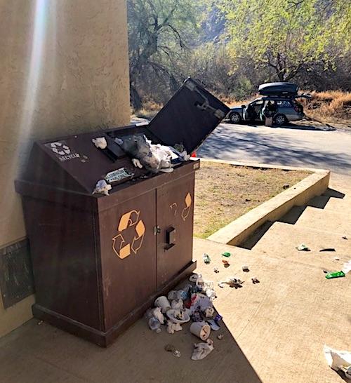 Overflowing garbage cans in Big Bend could attract black bears/NPS