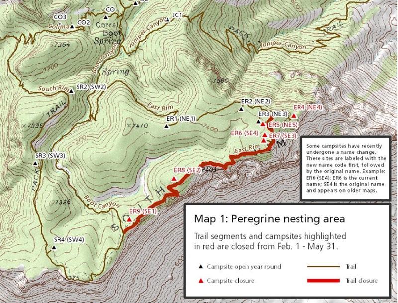 peregrine falcon, nesting, map, big bend, national park