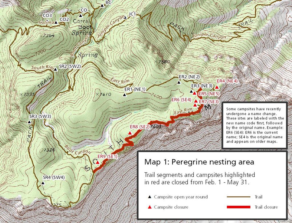 Peregrine falcon closure map, Big Bend National Park / NPS file