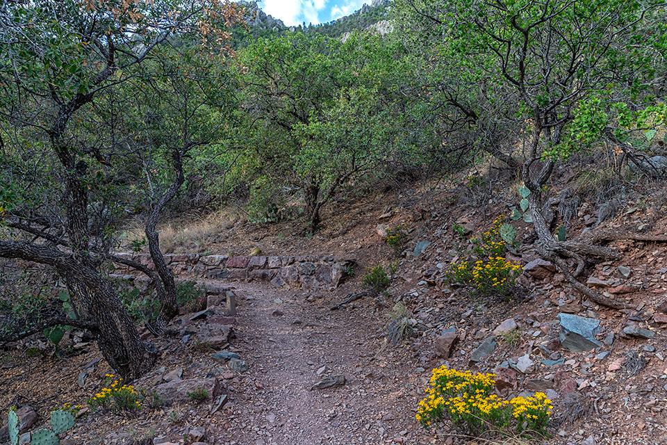 Hike the trail during the spring and you'll see all sorts of colorful blooms, Big Bend National Park / Rebecca Latson