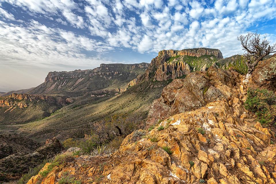 The scenic view after that first mile on the trail, Big Bend National Park / Rebecca Latson