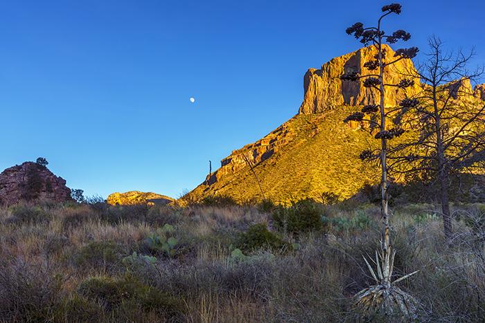 Casa Grande And A Gibbous Moon
