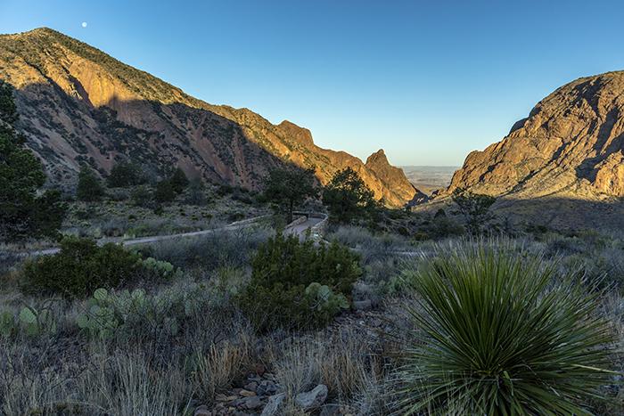 Early Morning At The Window, Big Bend National Park