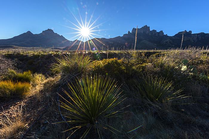 Winter morning in Big Bend National Park / Rebecca Latson