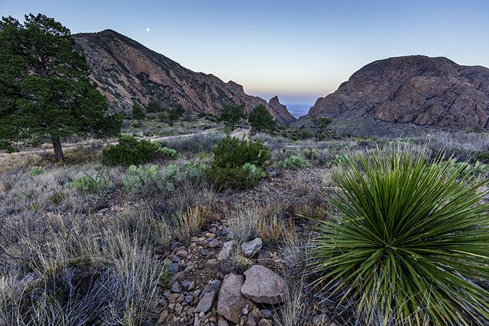 Early Morning At The Window - 14mm, Big Bend National Park