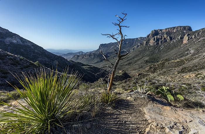 The View Along Lost Mine Trail - 14mm, Big Bend National Park