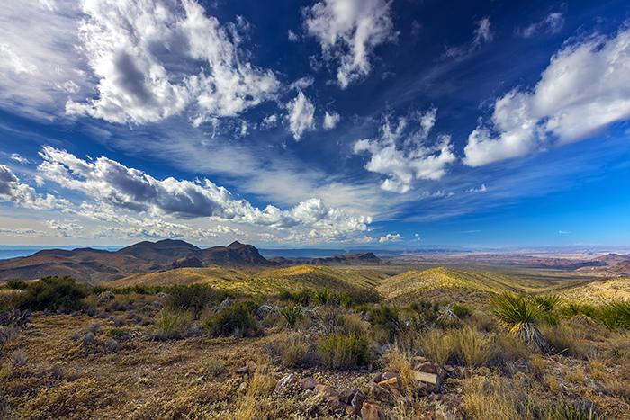 Sotol Vista