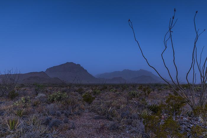 Morning On The Chihuahuan Desert