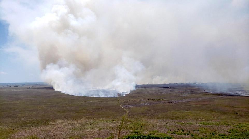 The Moon Fish Fire in Big Cypress National Preserve was nearing 30,000 acres Sunday/NPS