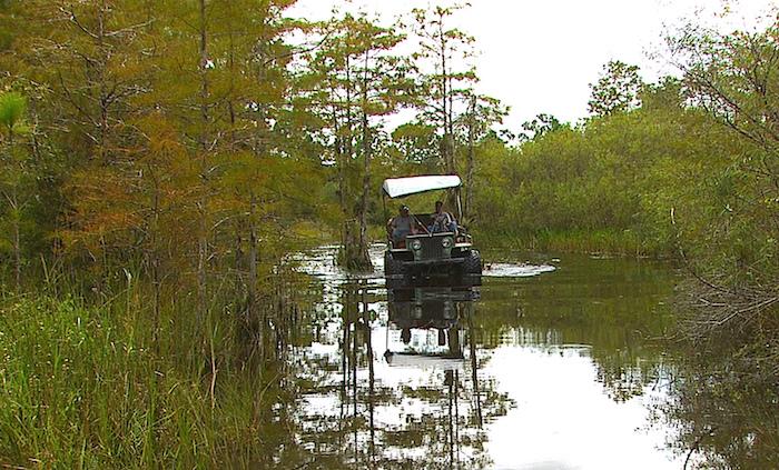ORV use is allowed in some areas of Big Cypress National Preserve/NPS