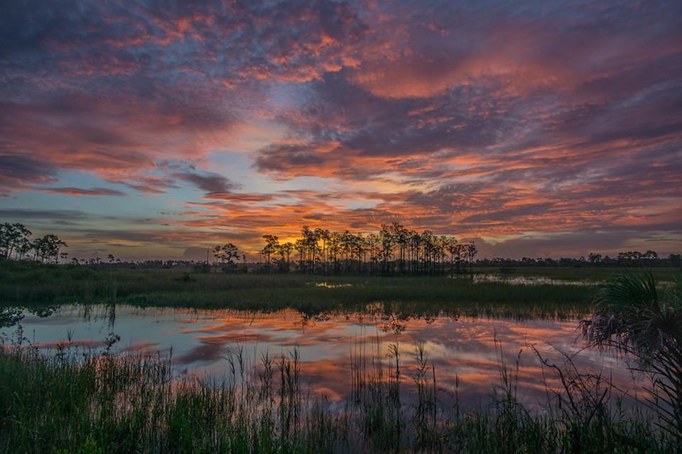 Sunset from the Turner River Road in Big Cypress National Preserve/NPS