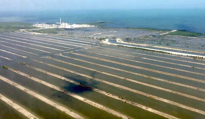 Cooling canals at Turkey Point generating station/Southern Alliance for Clean Energy