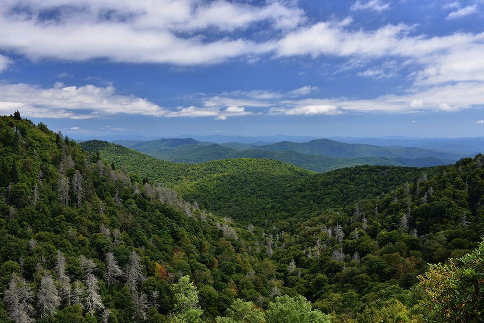 The view from the East Fork Overlook, Blue Ridge Parkway / NPS-A. Armstrong