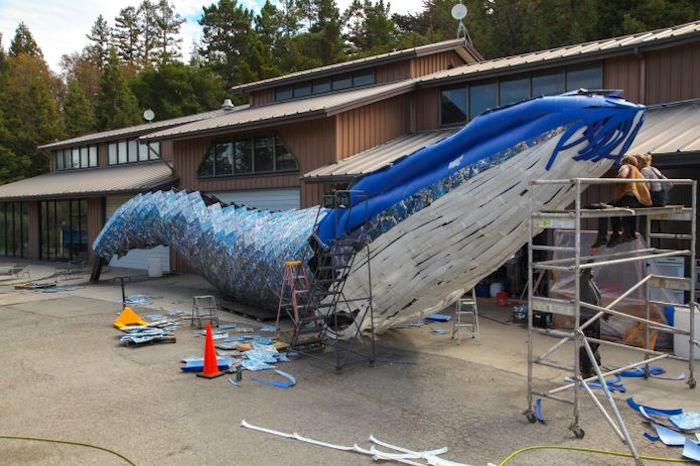 Artists Joel Dean Stockdill and Yustina Salnikova sit atop scaffolding at the construction site of Monterey Bay Aquarium's life-sized blue whale art installation made from discarded single-use plastic/Monterey Bay Aquarium