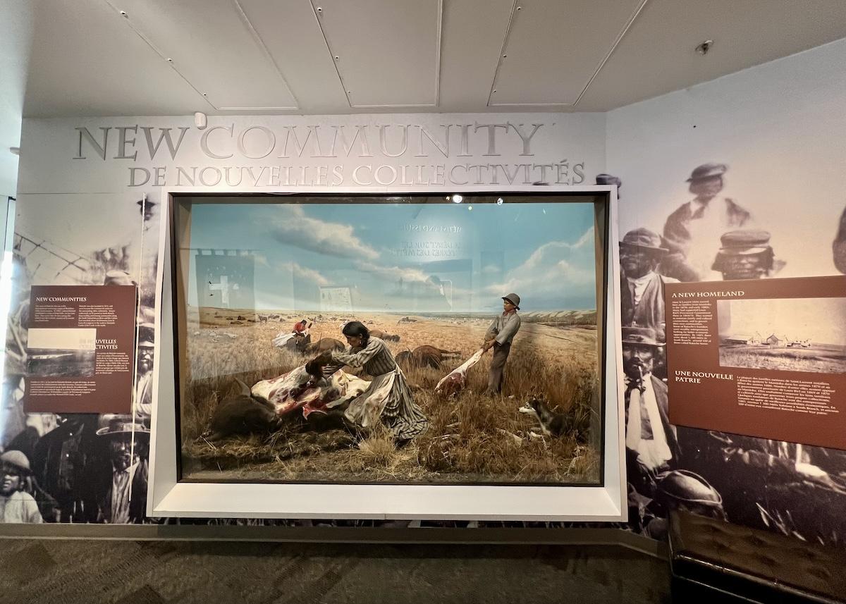 A historical bison display in the Batoche National Historic Site visitor reception center.