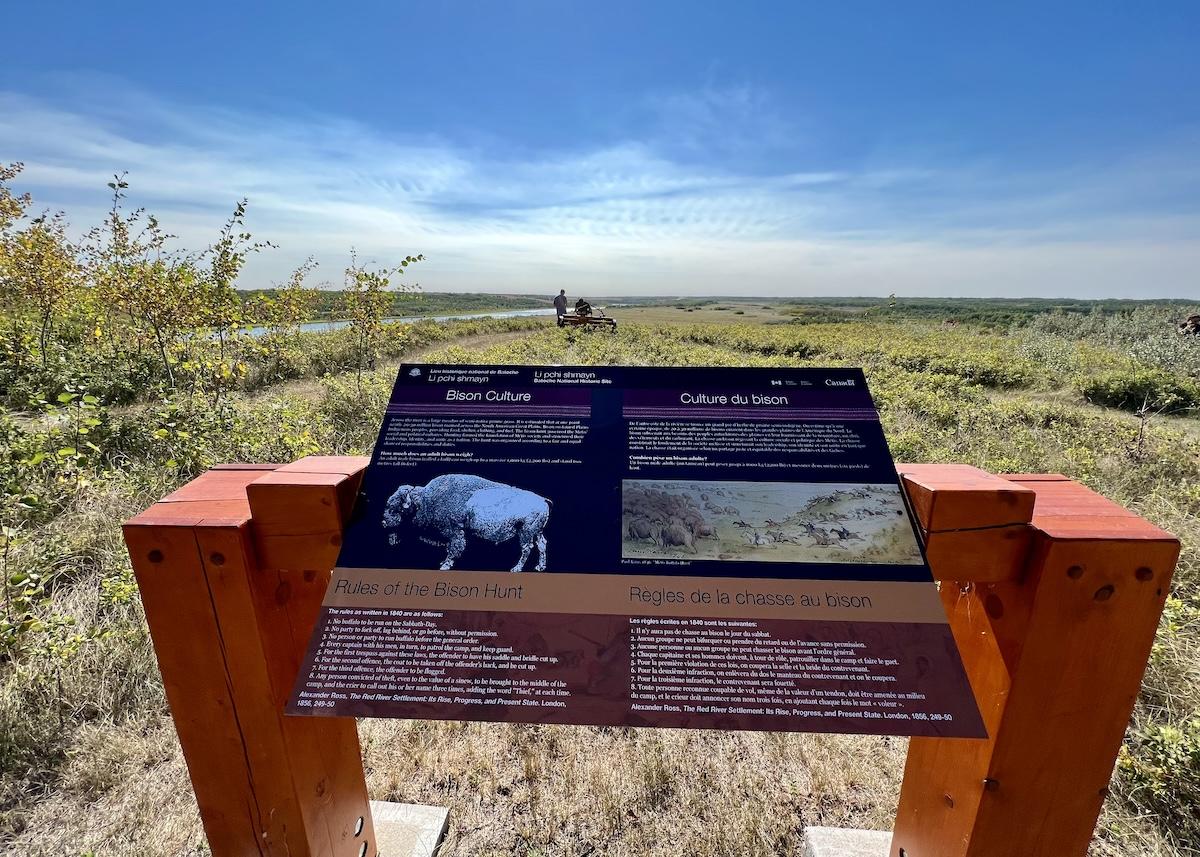 At Batoche National Historic Site, signage talks about the Métis connection to bison.