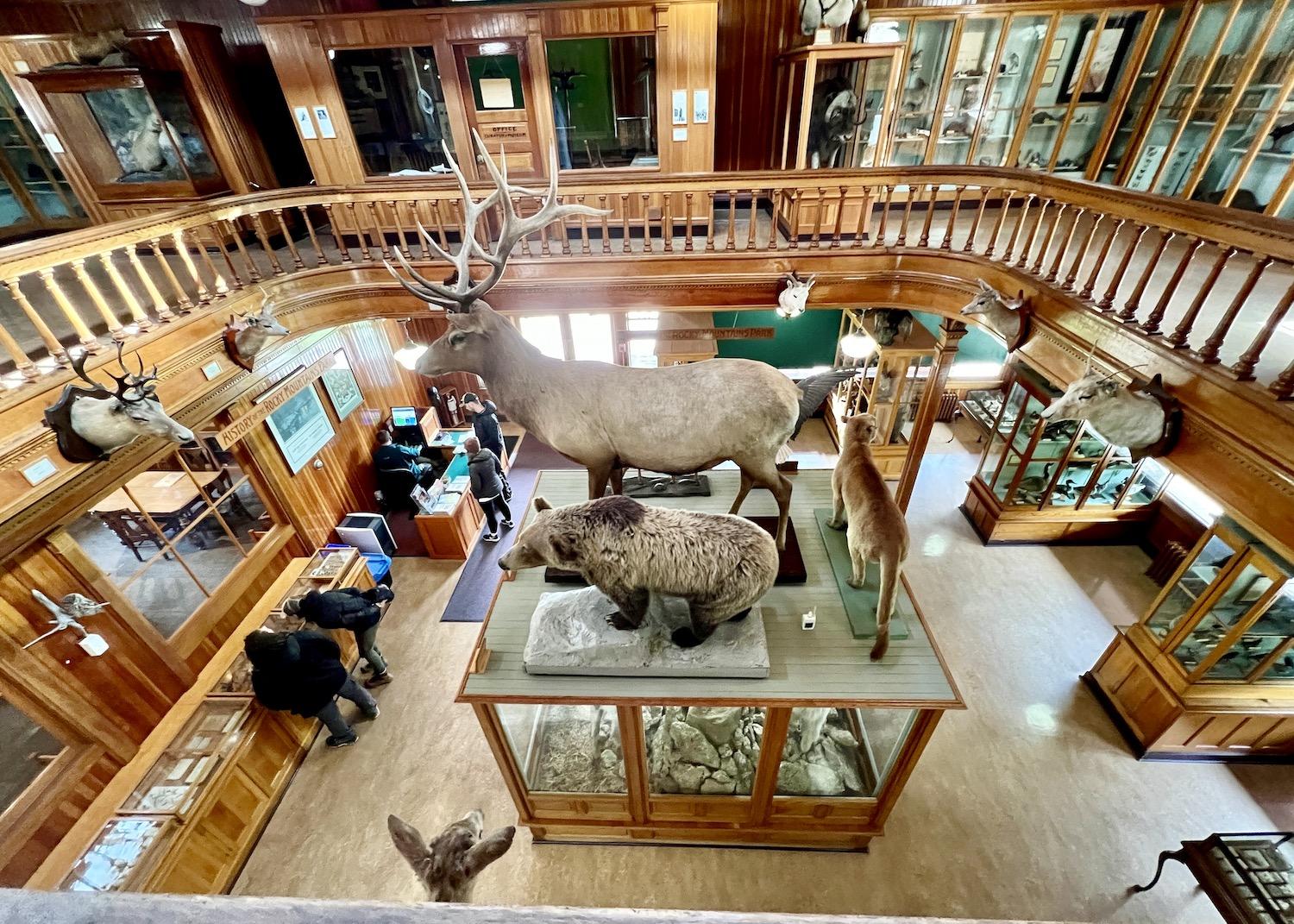 The Banff Park Museum National Historic Site is the oldest natural history museum in western Canada.