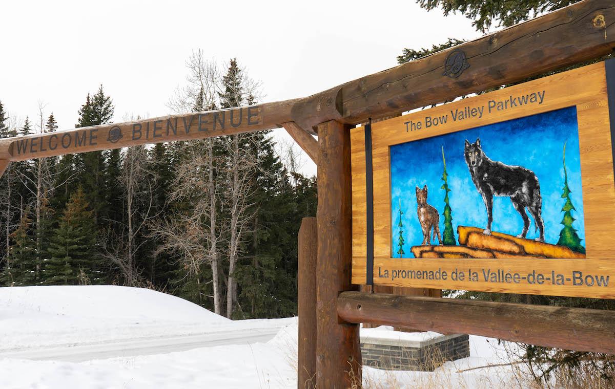 Seasonal restrictions on the Bow Valley Parkway in Banff National Park help protect wildlife between dusk and dawn.