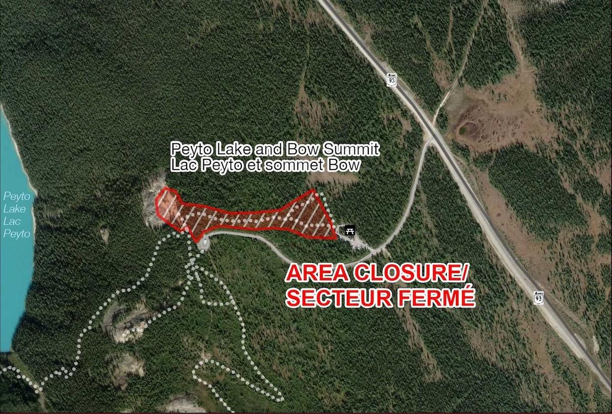 A map showing the closure area at Peyto Lake/Bow Summit.