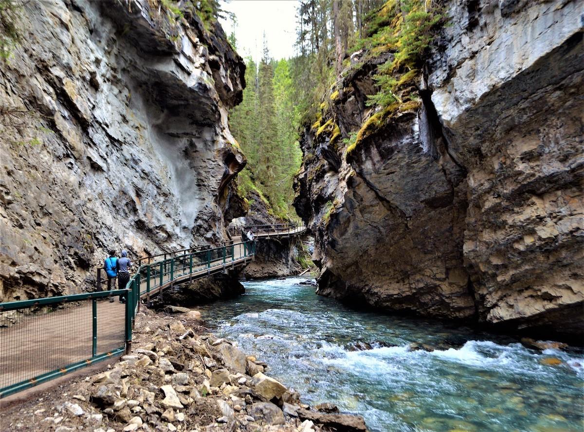 The railings along the Johnston Canyon Trail help protect nesting Black Swifts and vegetation.