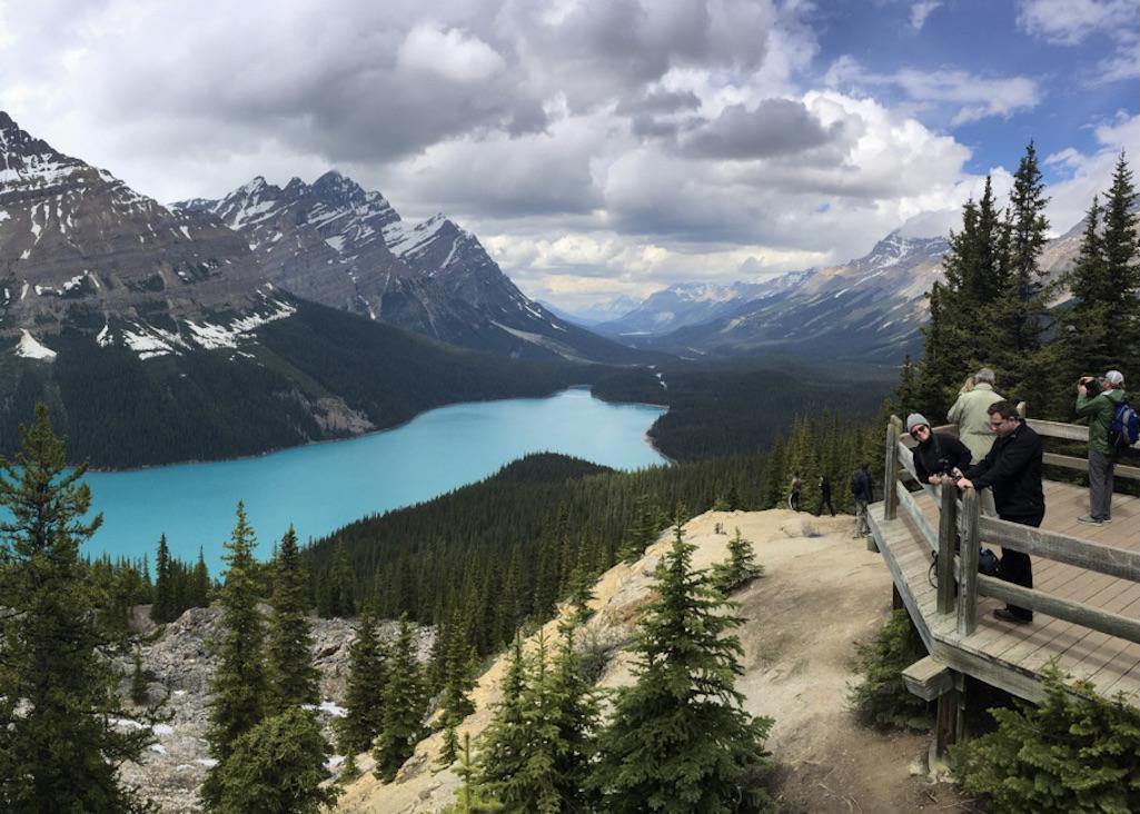 Visitors adore seeing a turquoise lake from the Peyto Lake viewpoint.