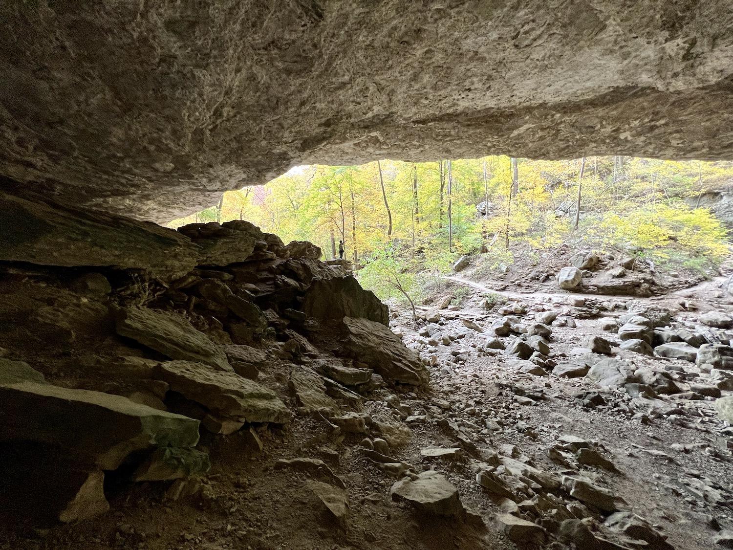 You have to go to the back of Cob Cave (which is more of a rock shelter) to grasp the depth of it.