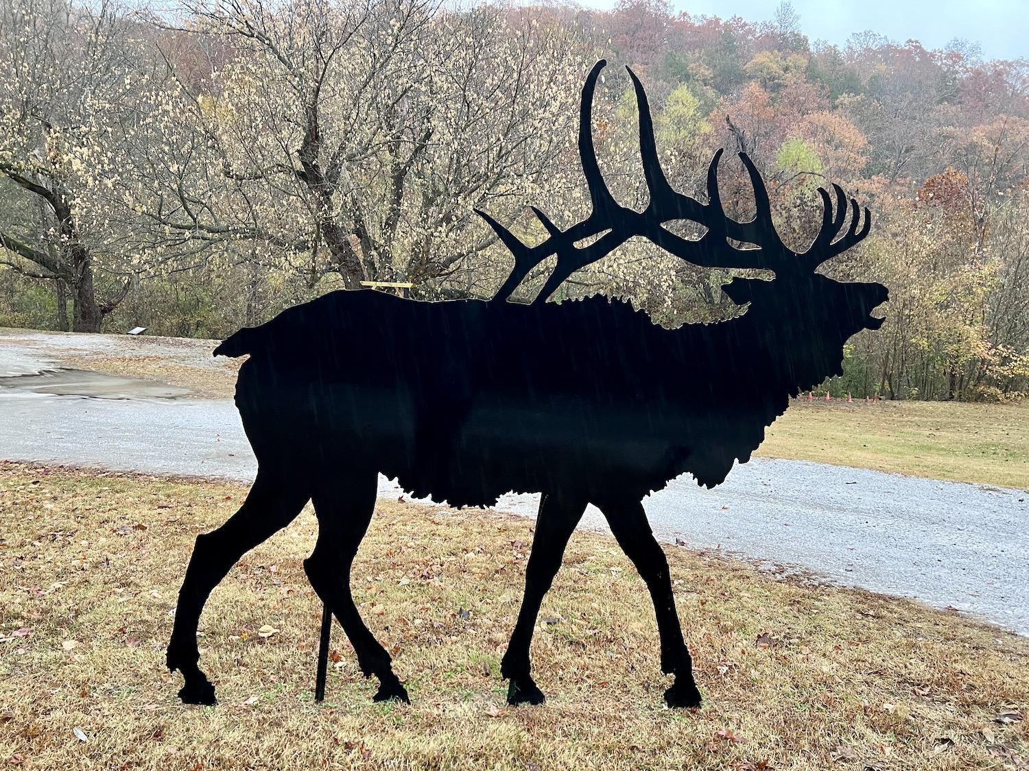 The only elk I spotted was at the Ponca Nature Center and made of steel.
