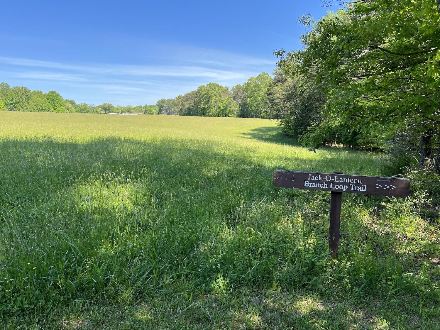 Booker T. Washington is popular with dog walkers and people who like to walk the Jack-O-Lantern Branch Trail through woods and this meadow.