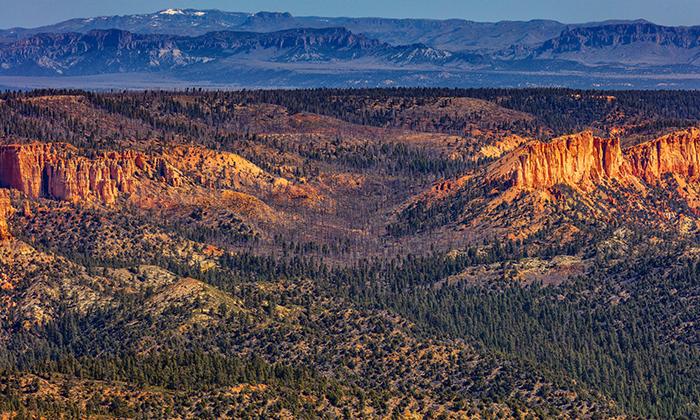 A telephoto landscape at Rainbow Point, Bryce Canyon National Park / Rebecca Latson