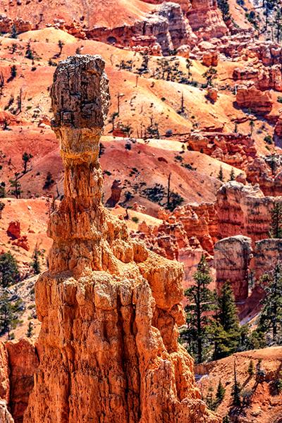 A hoodoo close-up in Fairyland Canyon, Bryce Canyon National Park / Rebecca Latson