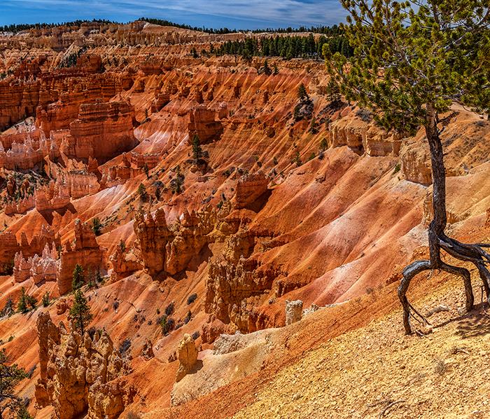 A midday view from Sunrise Point, Bryce Canyon National Park / Rebecca Latson