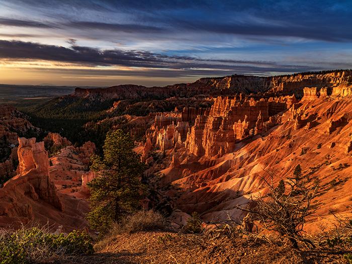 A saturated spring sunrise along the rim trail, Bryce Canyon National Park / Rebecca Latson