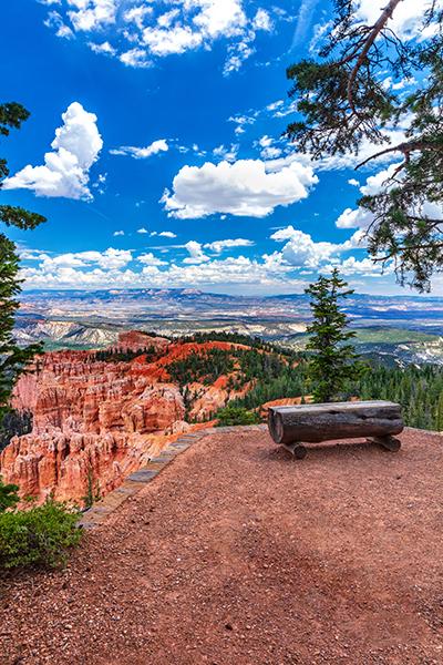 A lovely place to just sit and think along the Bristlecone Loop Trail, Bryce Canyon National Park / Rebecca Latson
