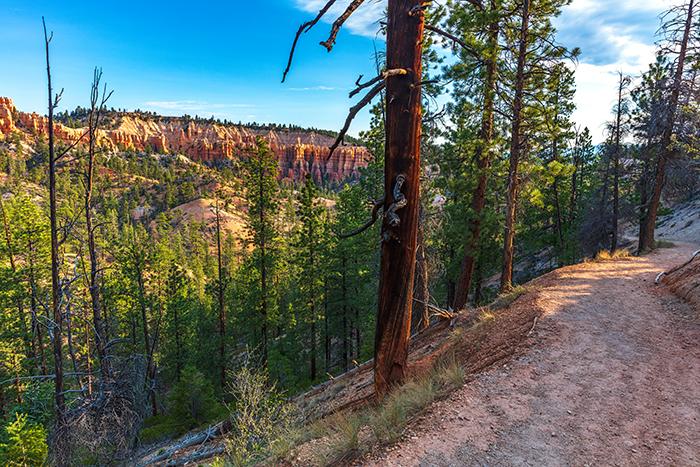 Taking a hike down the Fairyland Loop Trail, Bryce Canyon National Park / Rebecca Latson